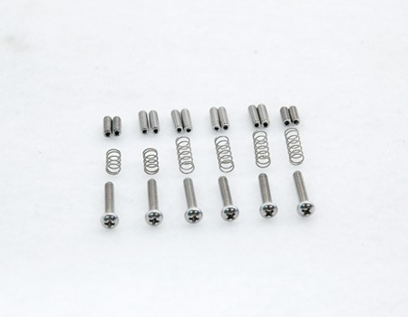 Strat Stainless Steel Saddle Screw Kit